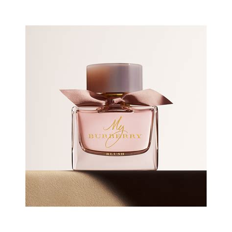 burberry blush scent|Burberry blush perfume 50ml.